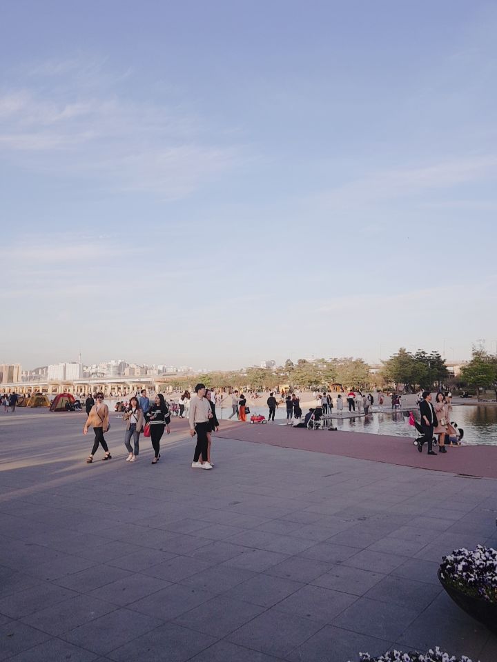 Yeouido Hangang Park (여의도한강공원)