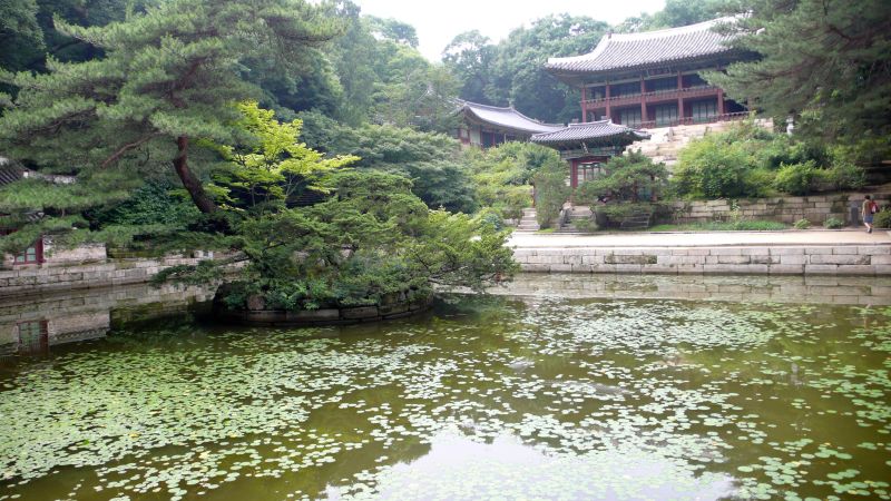 Changdeokgung Palace (Secret Garden) (창덕궁 후원)