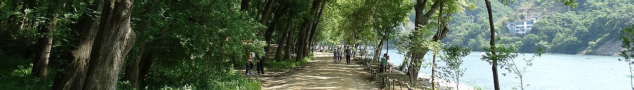 Nami Island (가평 남이섬)